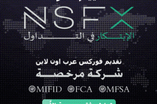 تقييم شركة NSFX