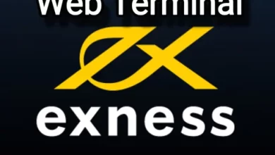 شرح منصة Web Terminal في exness